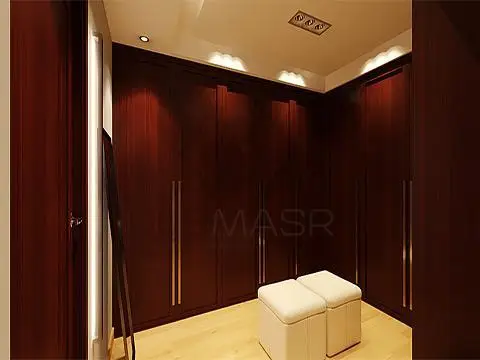 دي سي إس مصر